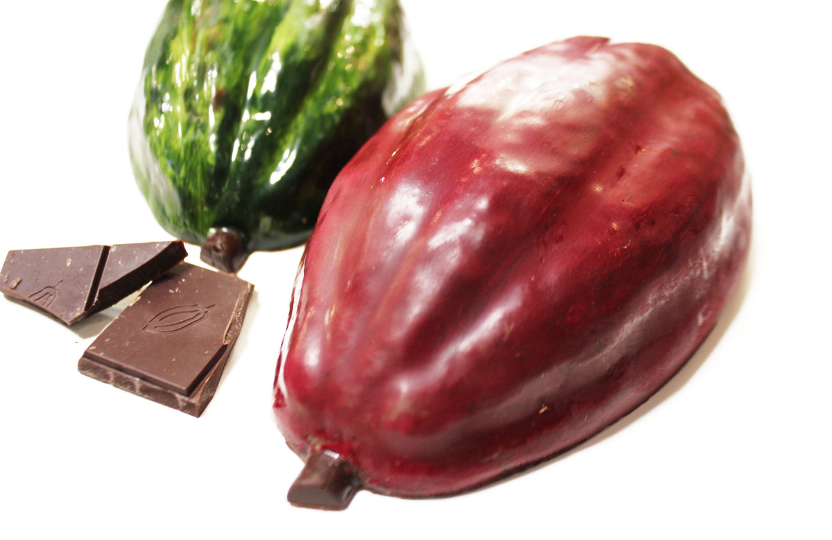 Dark Chocolate "Cocoa Pod" from Michel Cluizel, with chocolates inside